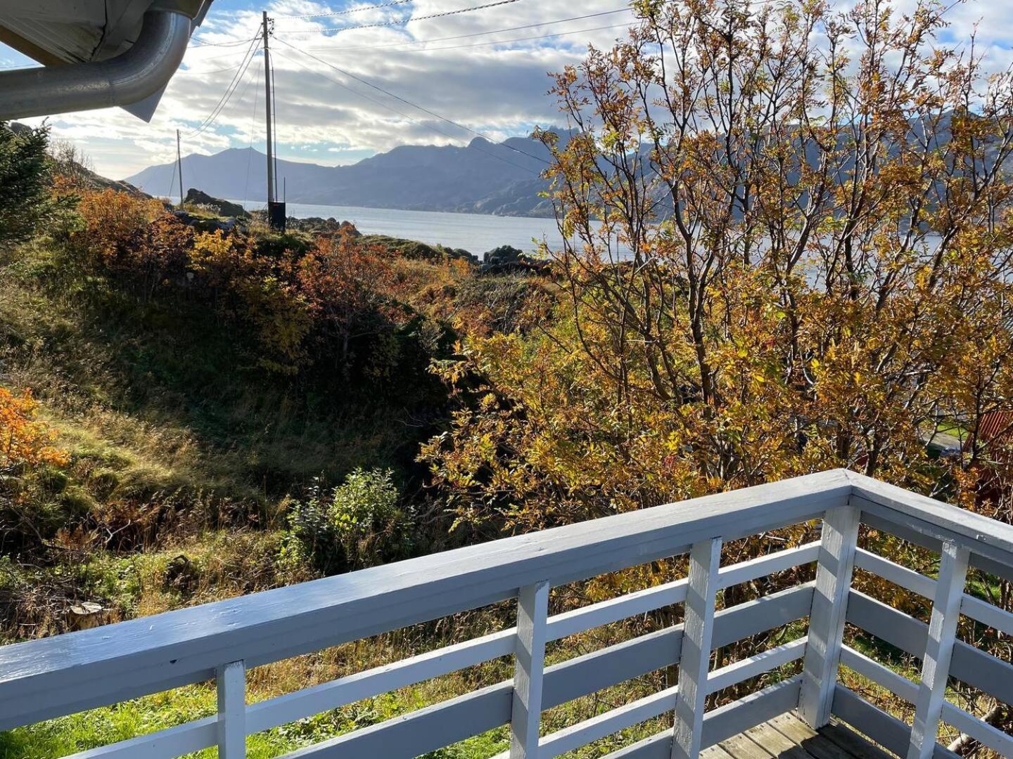 Vettinghytta, Close To The Sea With Amazing View. *